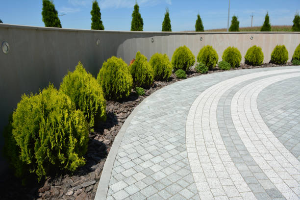 Best Concrete Paver Driveway  in Bamberg, SC